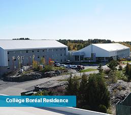 Boreal
