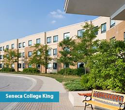 Seneca King