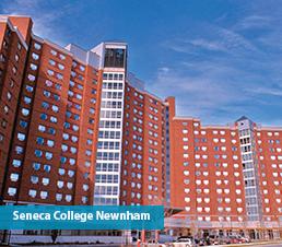 Seneca Newnham